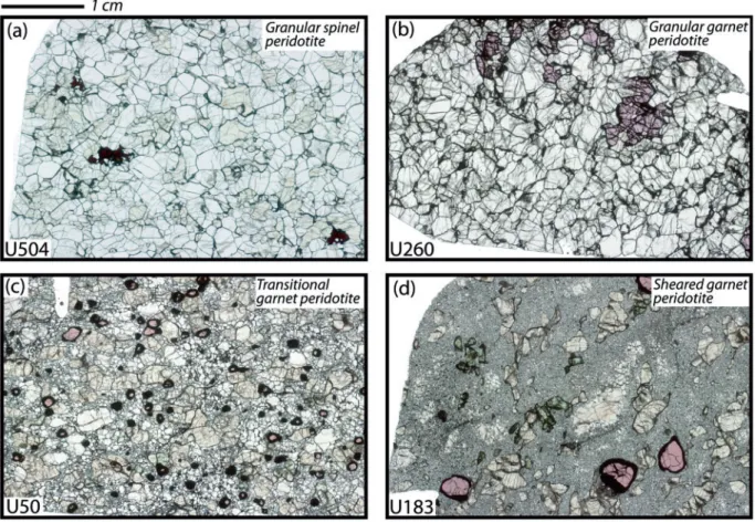 Fig. 3. Photomicrographs of four representative Udachnaya peridotite xenoliths in transmitted plane-polarized light; field of view is about 4·5 cm  2·5 cm, scale bar 1cm; sample numbers are given at bottom left