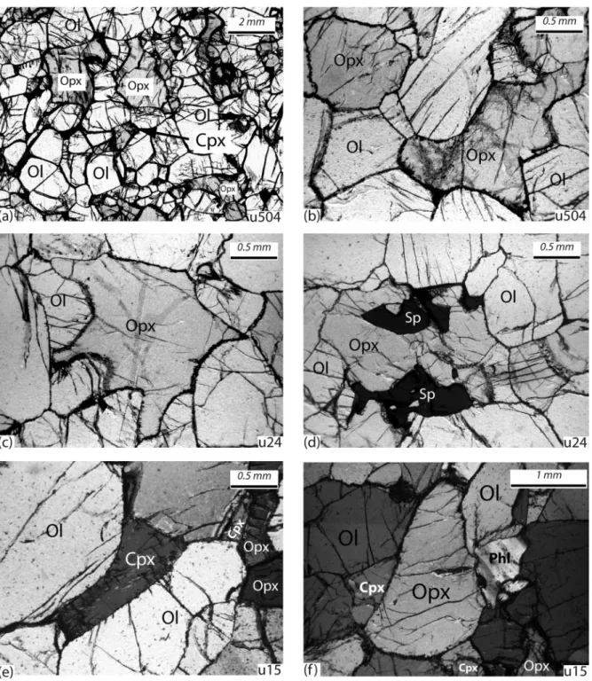 Fig. 4. Photomicrographs of Udachnaya spinel peridotites in transmitted plane-polarized (a^e) and cross-polarized light (f), showing the tex- tex-tural relations between the minerals