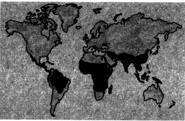 Figure 5 Areas affected  by malaria, regions in dark indicate where  malaria is common  [11]