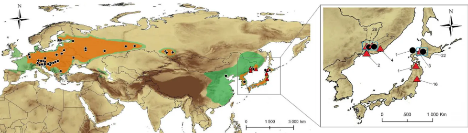 Fig 1. Sampling area in the Palearctic. The present distribution of Phyllonorycter issikii is shaded in orange and the distribution of its host plant Tilia–in green