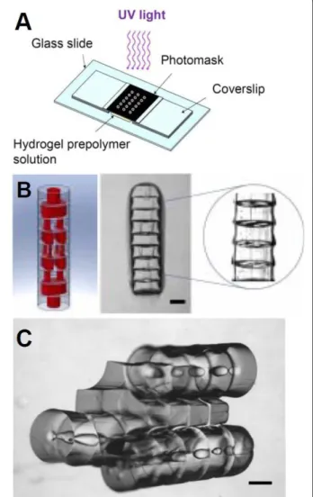 Figure 2 Directed assembly of microgels using a modular approach. Schematic representation of a high-throughput photolithographic method (A)