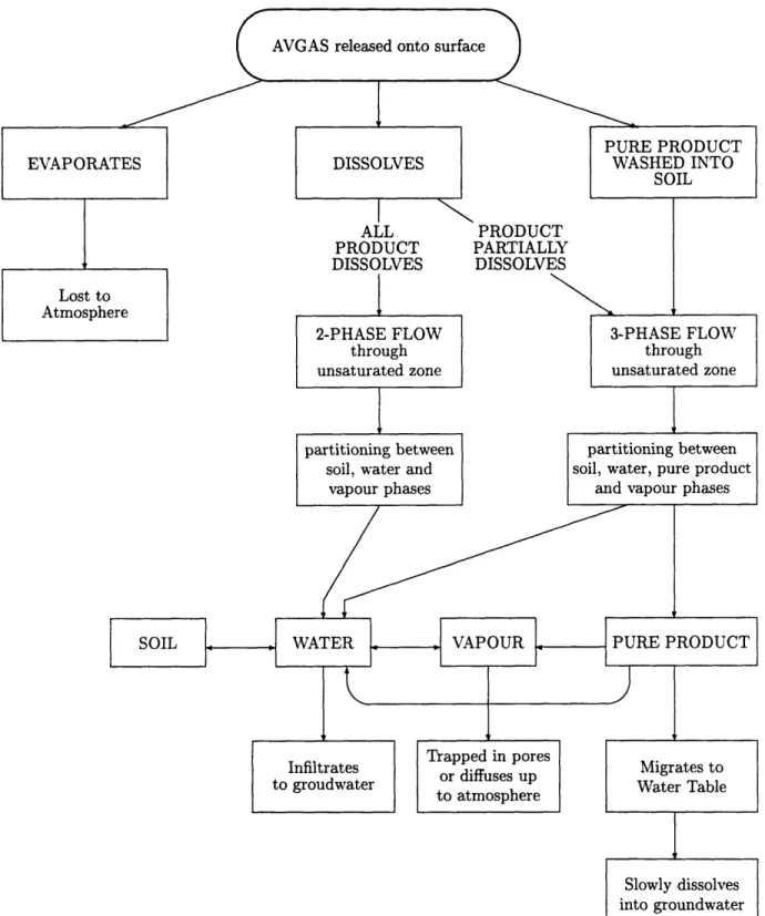 Figure  4-1:  Potential Routes  of Migration of  the  Contaminant