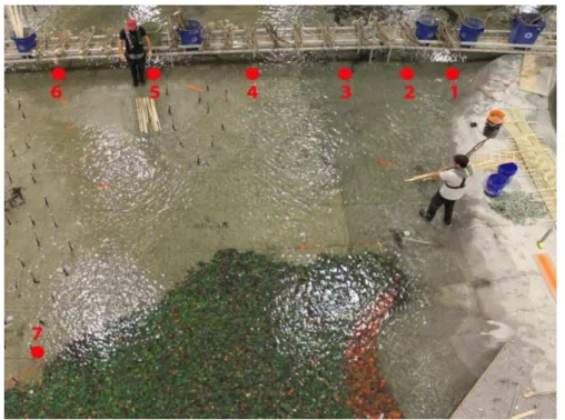 Figure 3: Release locations of all debris tests and example deployment of 10-piece MD raft