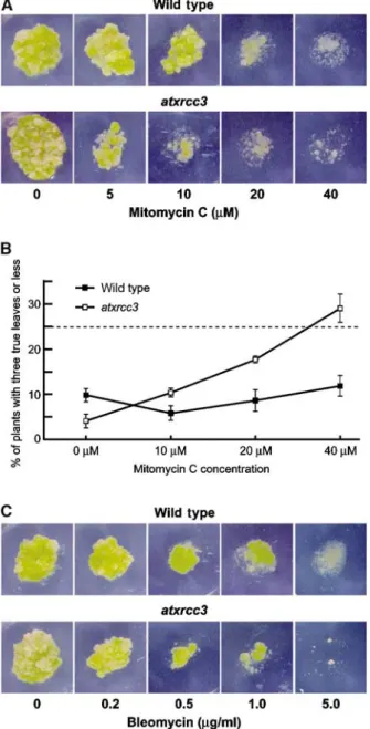 Figure 7 atxrcc3 cells and plants are hypersensitive to DNA cross- cross-linking agents, but not to DSB-inducing agents