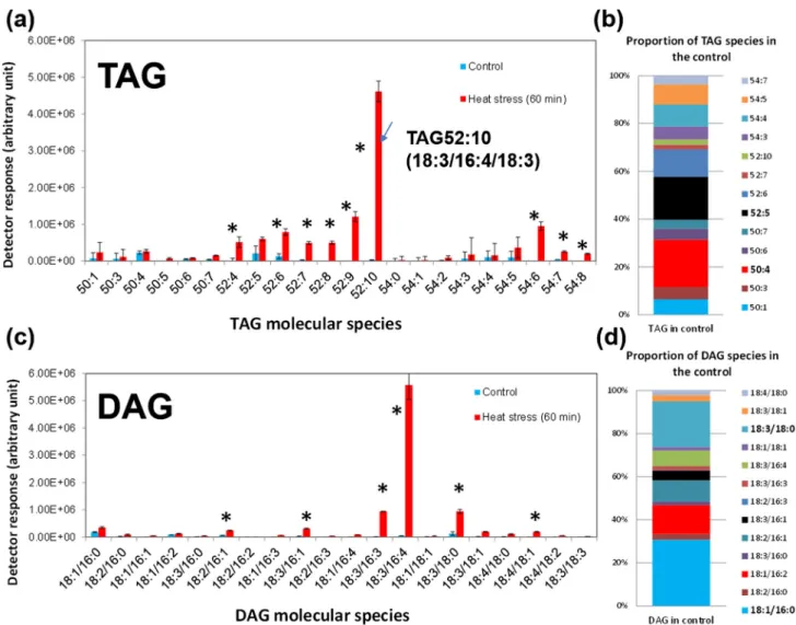 Figure 5. TAGs and DAGs formed under heat stress are mainly of polyunsaturated species