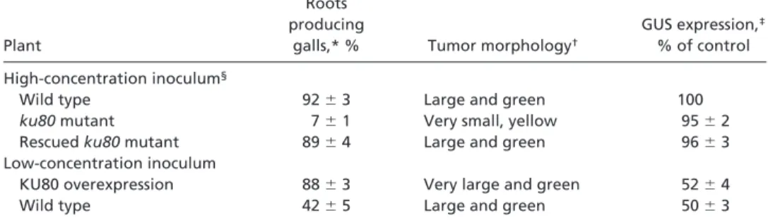 Table 2. Callus formation from ku80-mutant, wild-type, and KU80-overexpressing plants