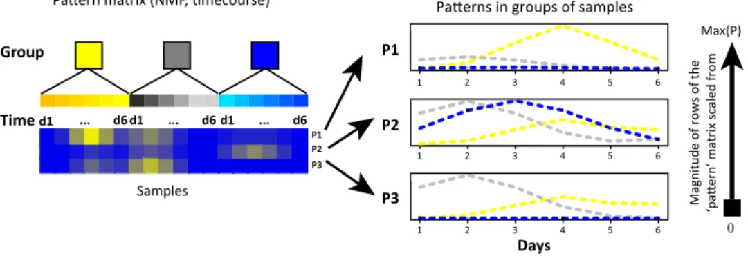 Figure 4. Samples Correspond to Timepoints; the Rows of the Pattern Matrix Can Be Plotted as a Function of Time and Sample Condition To Infer the Dynamics of Complex Biological Processes (CBPs)