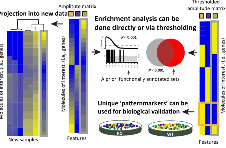 Figure 5. The Amplitude Matrix from Matrix Factorization (MF) Can Be Used to Derive Data-Driven Molecular Signatures Associated with a Complex Biological Process (CBP)