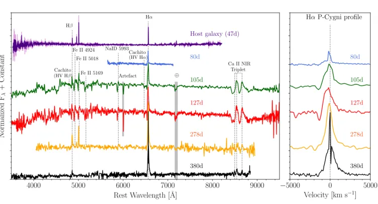Figure 2. Left: Optical spectra of DES16C3cje from 80 to 380 days after explosion. Each spectrum has been corrected for Milky Way reddening and shifted by an arbitrary amount for presentation
