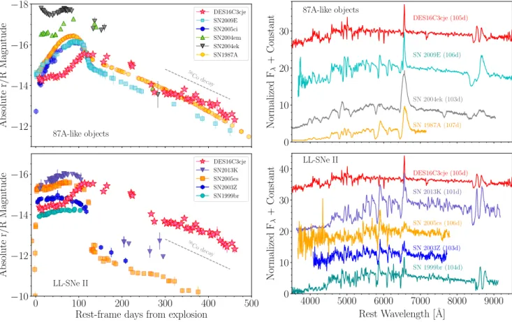 Figure 3. Left: Comparison of the r /R-band light curve of DES16C3cje with well-observed SNe II