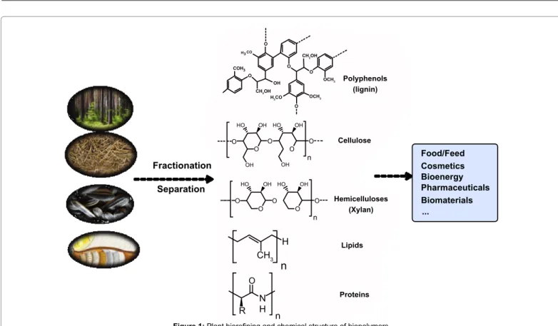 Figure 1: Plant biorefining and chemical structure of biopolymers.