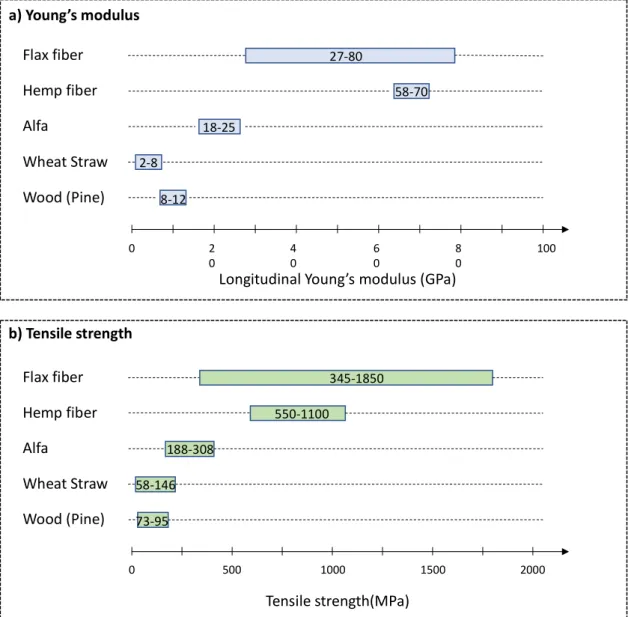 Figure 1. Main mechanical properties for different biomasses: (a) longitudinal Young’s modulus and (b) tensile strength according to [37,42].