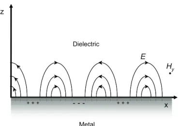 Figure 4-2: Surface plasmon polariton eld orientations SPPs exhibit magnetic elds that are transverse in character, and the generation of surface charge requires an electric eld normal to the surface (after Barnes, et al