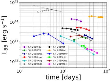 Figure 3. The evolution in time of: (1) the radius (upper panel), (2) the temperature (lower panel) of a blackbody with the same radiation as each of the twelve SNe in our sample.