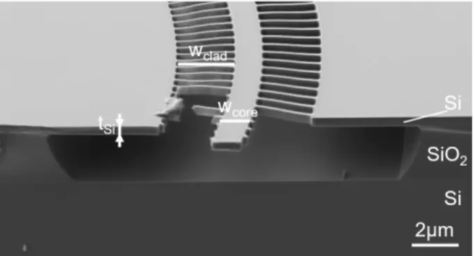 Fig. 9. A suspended silicon membrane waveguide supported by an SWG cladding strips; the BOX is etched away by hydrofluoric acid that penetrates through the subwavelength holes (the damaged strips are due to the cleaving process) [90].