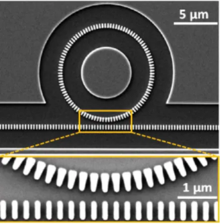 Fig. 11 SWG waveguide ring resonator with trapezoidal segments to reduce bend losses. (Reproduced with permission from [79].)