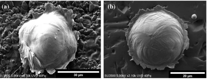 Fig.  7: Single Ti splat deposited on (a) Al 2 O 3  (0.78) and (b) Al 2 O 3  (0.16) showing formation of ASI