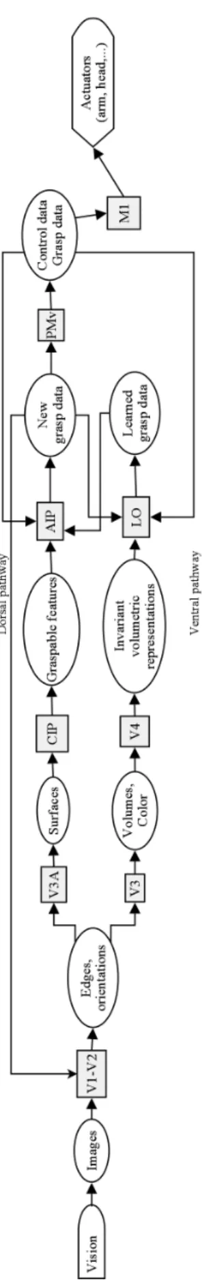 Fig. 3 Development of the vision-based grasping model using the FBA architecture.