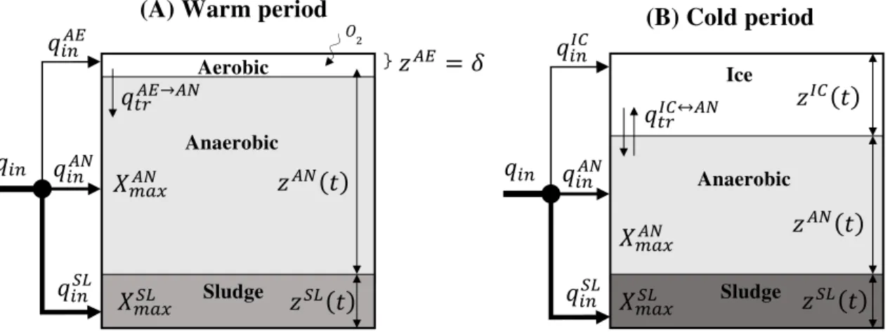 Figure 1. Schematic diagram of the layers considered in the model during (A) warm and (B) 499 