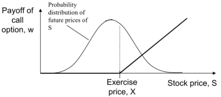 Figure 3: The stochastic nature of stock prices make options valuable. 