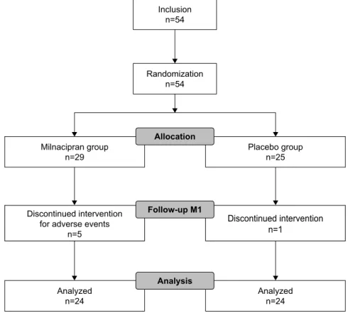 Figure 1 CONSORT study flow chart.