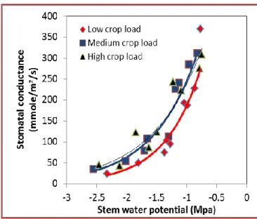 Figure 4. Apple shoot  infested by the Rosy apple  aphid (Dysaphis 