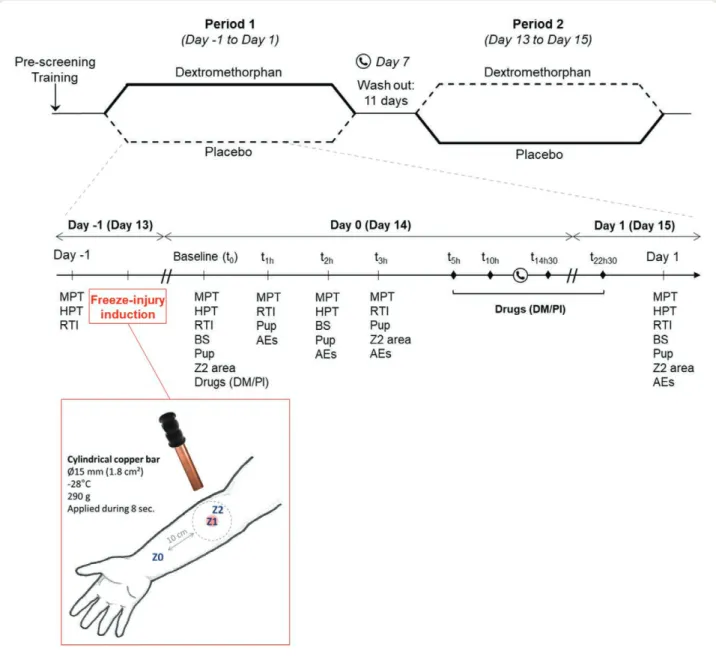 Fig. 1.  Design and chronology of the study. AEs, adverse events; Bs, blood sample; DM/Pl, dextromethorphan or placebo administra- administra-tion; HPt, heat pain thresholds; MPt, mechanical pain thresholds; Pup, pupillometry; RtI, reaction time Cambridge 