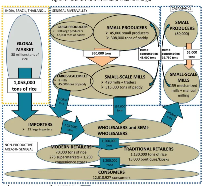 Figure 2: Structure of the rice value chain in Senegal 