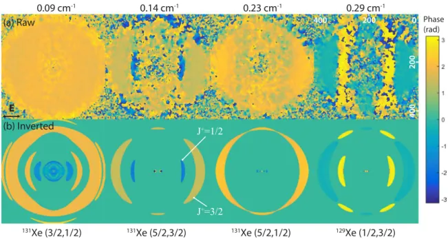 FIG. 9. Fourier image components (phases) corresponding to the observed features (see Fig