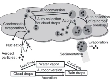 Figure 5 • Scheme of the interaction taken into account in a hybrid scheme combining a bulk approach for cloud water,