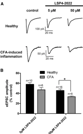 Figure 6. Inhibition of spinal excitatory neurotransmission by mGlu4 receptor is reinforced in inflammation