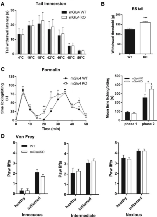 Figure 7. Perception of thermal, mechanical, and chemical stimuli in naive mGlu4KO mice