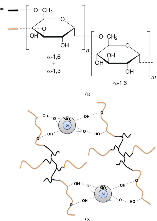 Figure 1.                (a)  (b) Main chain Branch 23456789101112131415161718192021222324252627282930313233343536373839404142434445464748495051525354 55