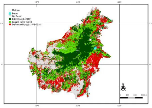 Figure 1-3 Forest status in Borneo based on Gaveau et al. (2014). Study sites of this thesis are in Malinau  (white box) and Berau (blue boxes)