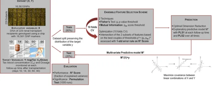 Table 1: Performance, statistical significance, and complexity of the predictive models at each follow-up time after transplantation (days 10, 14, 30, 60, 90) with PLS1 model and for all times with PLS2 model