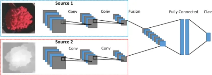 Fig. 1. Example of Late Fusion architecture.