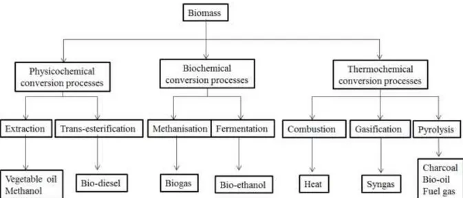 Figure 2. Simplified illustration of the three biomass conversion pathways and their final products  I.1.3.1