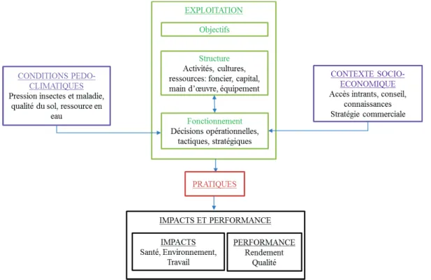Figure  1.1.  Cadre  d’analyse  pour  comprendre  et  évaluer  les  pratiques,  les  stratégies  des  exploitations agricoles et leurs déterminants