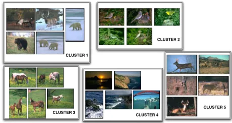 Figure 17 resumes the descriptions of the clusters obtained over the images.