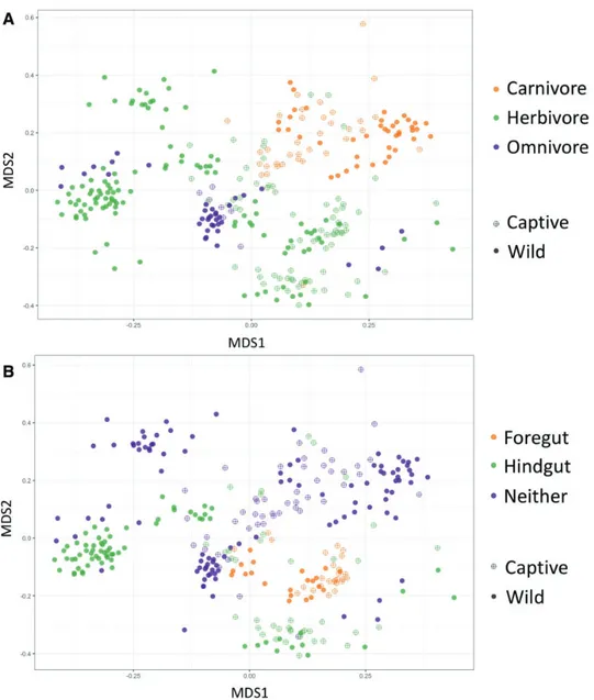 Fig. 3 Nonmetric multi-dimensional scaling plot of mammal gut bacterial communities in the captive and wild state, by host diet type (A) and host gut fermenter type (B)
