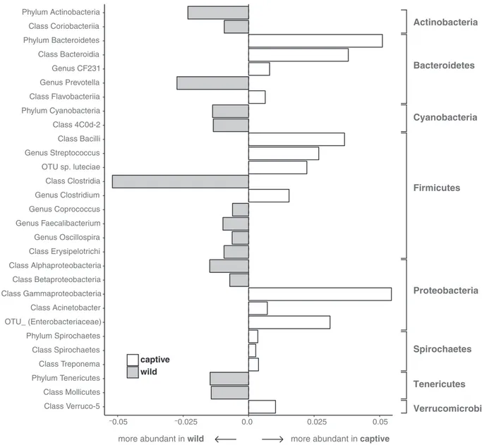 Fig. 4 Differences in the average relative abundance of bacterial taxa between captive and wild hosts