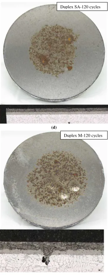 Figure 5: Samples after accelerated cyclic corrosion (a) SA  (b) M (c) CS (d) duplex SA (e) duplex M  
