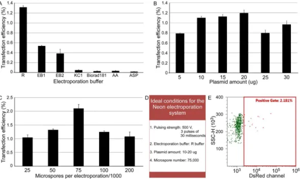 Figure 2.  Optimization of electroporation parameters for the delivery of Cas9 and DsRed expression construct  into wheat microspores