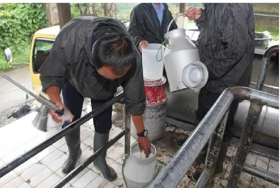 Figure 8 Cooperative staff carry out a milk rapid test 