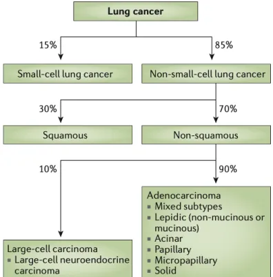 Figure 2. Lung cancer classification (11). 