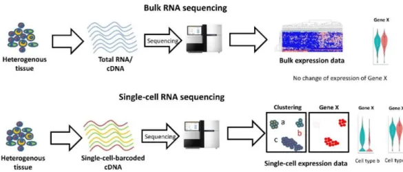 Figure 5. Comparison between bulk RNA-seq and scRNA-seq (48)  3.3 Single Cell Genomics - Development 
