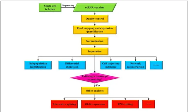 Figure 6. Overview of the analysis of the scRNA-seq data. (54) 