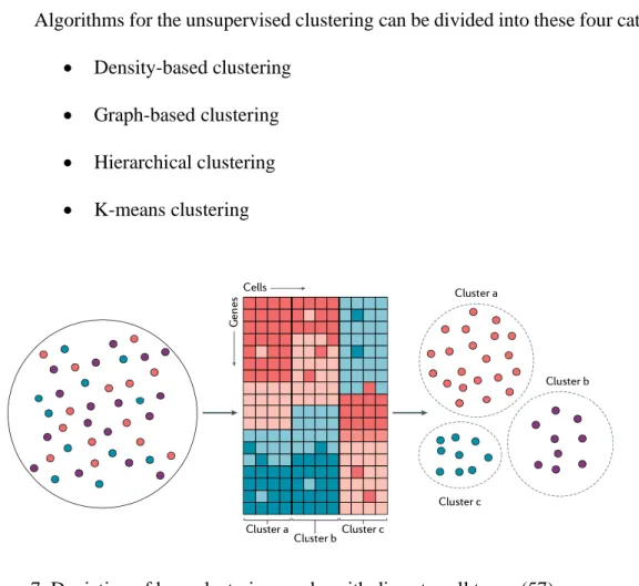 Figure 7. Depiction of how clustering works with discrete cell types (57) 