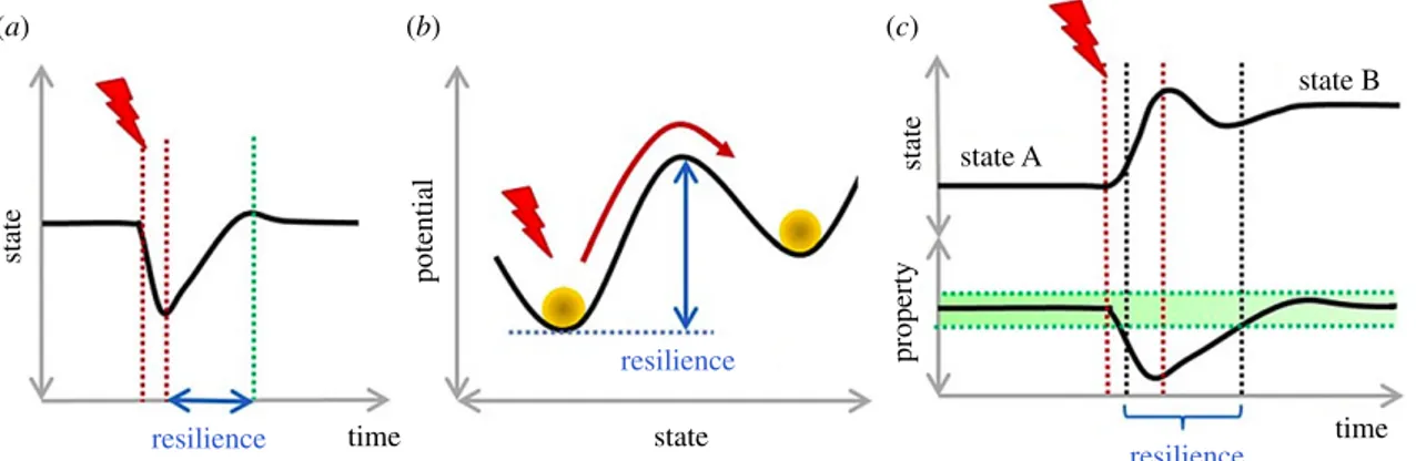 Figure 1. Different meanings of resilience. Red lightning: disturbance. (a) Engineering resilience: time necessary to recover the initial state after disturbance.