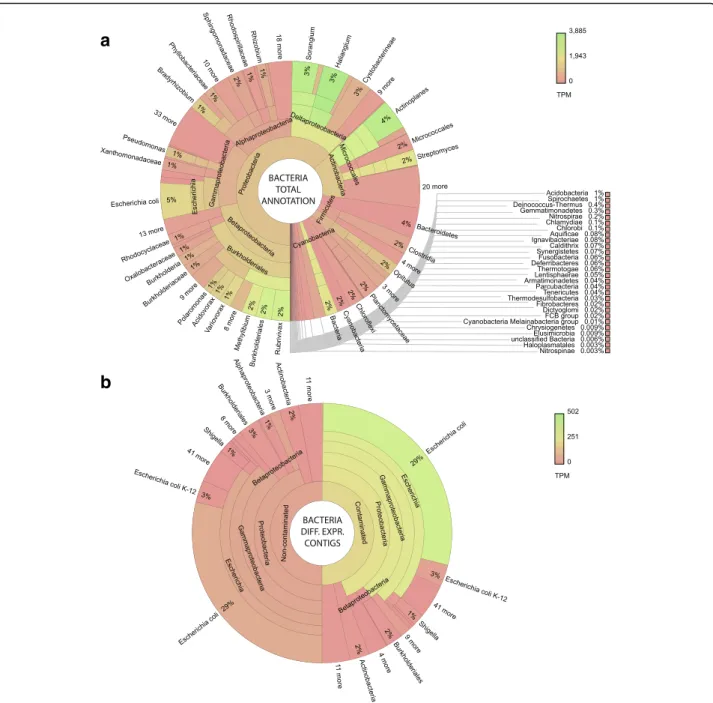 Fig. 6 Bacterial contigs, total and differentially expressed (DE) transcript origin. Krona graphs [47] represent a total annotation of bacterial transcripts (including non-DE) and b annotation of DE bacterial transcripts